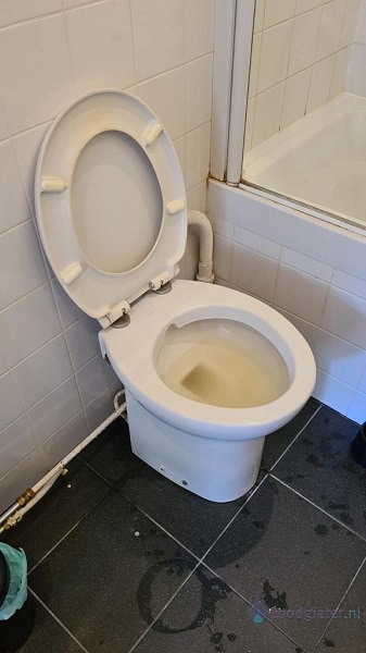  verstopping toilet Made